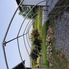 中古品 南栄工業パイプ車庫678M 2023年7月に新品を5万円で購入