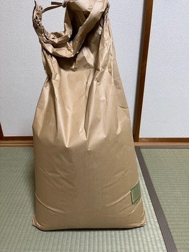 令和6年コシヒカリ