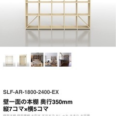 マルゲリータ  壁一面の本棚 