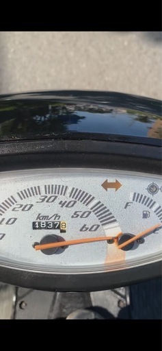 神奈川県藤沢市発。ホンダ ライブディオZX。フル整備済みでチョイ