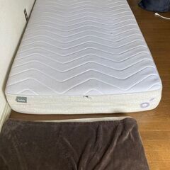コアラ KOALA セミダブル マットレスのみ