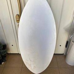 ZAPスキムボード2度使用