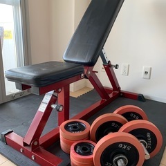 NO.964 iROTEC ダンベル 計110kg