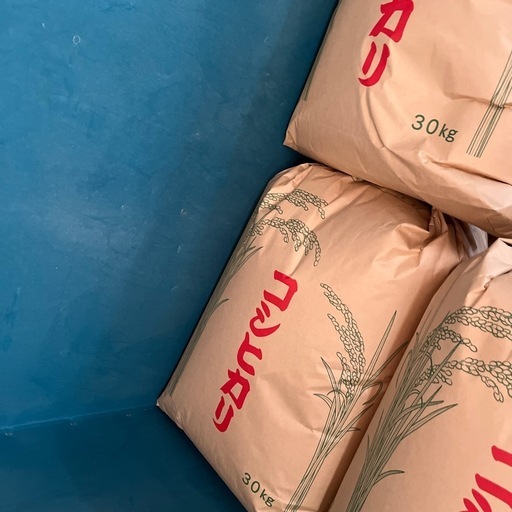 R6年度新米 コシヒカリ 農薬不使用 破格米17.6kg クリスマスローズ R6