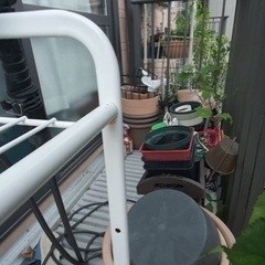 園芸 花や木、植木鉢など