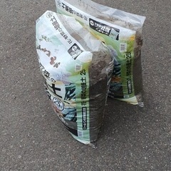 園芸 花や木、植木鉢など