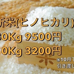 【予約受付】新米🌾30キロ9500円