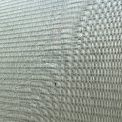 Panasonic 畳ヶ丘 ソファやベットの代わりにも⭐︎たくさん収納 6個