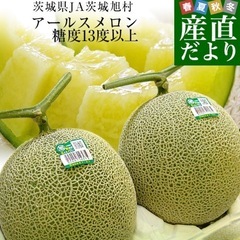 ¥2500から値下げ！ 高級アールスメロン