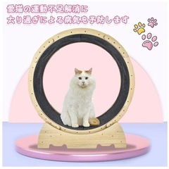  Kaitou キャットホイール