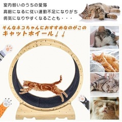  Kaitou キャットホイール