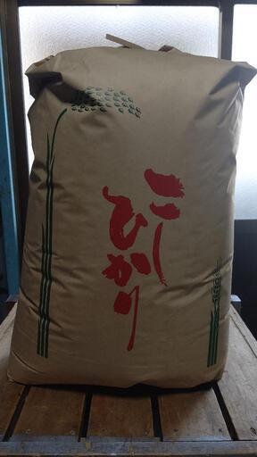 【令和6年度】三重県産 コシヒカリ 玄米 30kg 新米