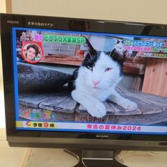 SHARP液晶テレビ