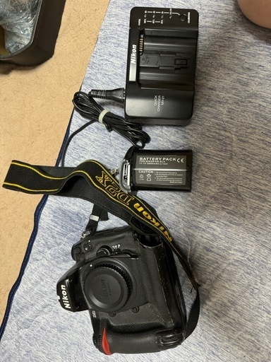 Nikon D2X battery: what are the options? Nikon D2X ボディ充電器