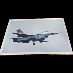 (中古)GENERAL DYNAMICS F-16 パネル