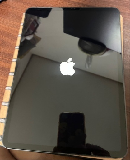 大容量　ipad  Pro 11inch 第二世代　セルラー　1TB　 本体のみ　半年ほど前に交換済み