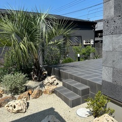 【未使用品】Kayu style ウェビィング　バードアイ　コーヒーテーブル