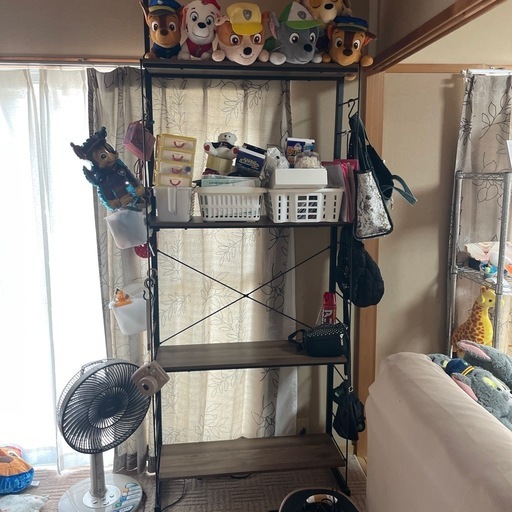 棚