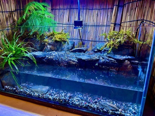 水の流れる滝テラリウム水槽