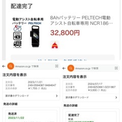 販売終了】電動アシスト自転車◾️Peltech◾️消耗品は新品交換済み 