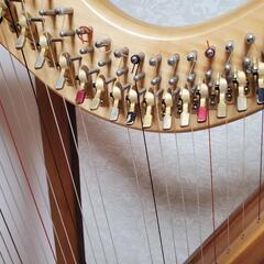 AOYAMA アイリッシュハープ