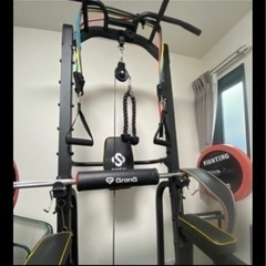 激安セット！ベンチプレス、チンニング、ダンベル、プレート各種 