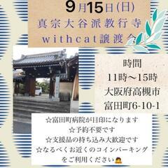 【保護猫の譲渡会】大阪府高槻市　9/15(日)11−15時