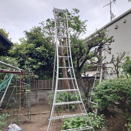 ハセガワ アルミ園芸用三脚 12尺 【高さ 約360cm】脚立