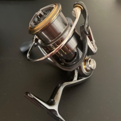 9/8限定 ダイワ ルビアスエアリティ