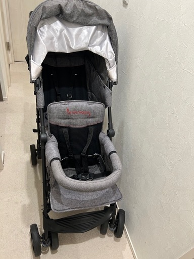 美品][AB型]イングリッシーナ クイッド グレープレッド