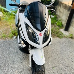 🌈250ccバイク(交換バイク、車両ok)相談下さい