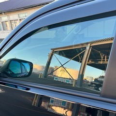 プラド150後期メッシュサンシェードフロント2セット！目隠し.日焼け止め.メッシュスモーク！