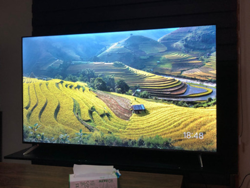 TCL 65インチテレビ　保証期間あり