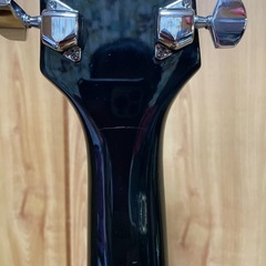 フレッシャーレスポール難あり フレッシャーレスポール難あり