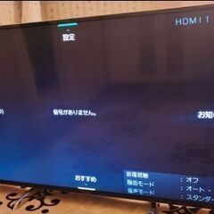 Panasonic VIERA49インチ