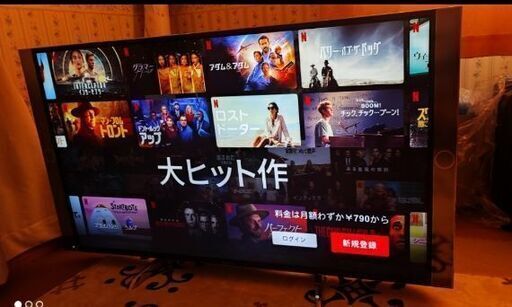 Panasonic VIERA49インチ