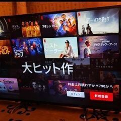 Panasonic VIERA49インチ