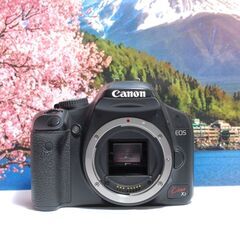 初心者におすすめ Canon Kiss X2 ダブルレンズキット SDカード付き