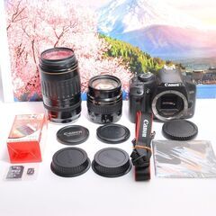 初心者におすすめ Canon Kiss X2 ダブルレンズキット SDカード付き