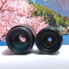 初心者におすすめ Canon Kiss X2 ダブルレンズキット SDカード付き