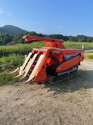 決まりました