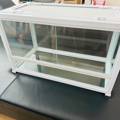 【直接取引のみ／ほぼ新品】爬虫類ケージ／60×30×36㎝ 直接取引のみ／ほぼ新品】爬虫類ケージ／60×30×36㎝