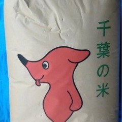 ⑤令和6年度 千葉県産新米 コシヒカリ ふさおとめ 玄米 30kg 各1