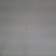 ID:G60183001　冷蔵庫　2ドア　106L　ニトリ　22年式　※キズ有