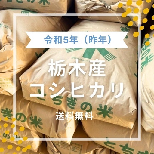 令和5年（昨年）度 栃木産コシヒカリ 30キロ 減農薬玄米