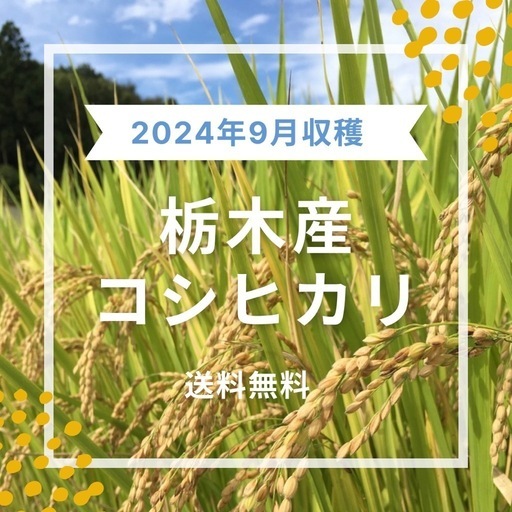 令和6度新米コシヒカリ 30キロ玄米 2024年9月収穫 栃木産減農薬米