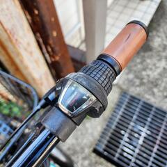 折りたたみ自転車　ＶＯＬＫＳＷＡＧＥＮ　２０インチ　6変速　カゴ　付き　青　配達可能