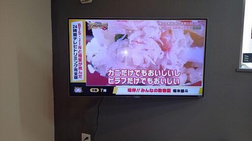 テレビ壁掛け