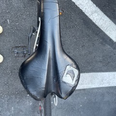 ルイガノ　CHASSE