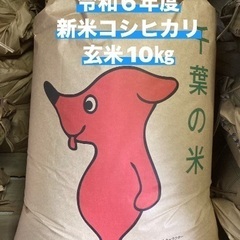 【配送可】令和６年度⭐︎コシヒカリ新米10Kg（玄米）